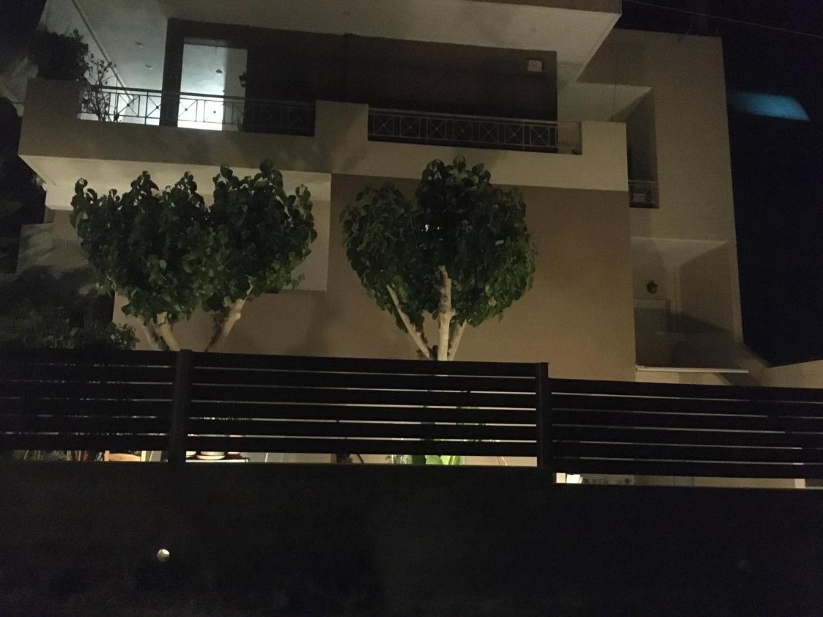 Theo Apartments 1 Artemida  Bagian luar foto